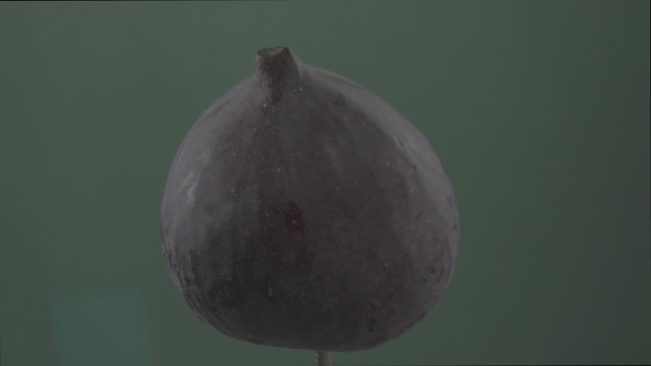 Fig rotating with loop on green screen for chroma key
