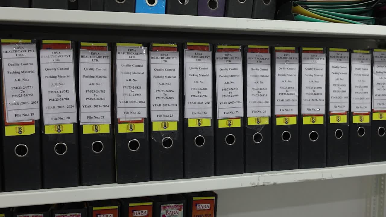 Organizing and Managing Files in an Office