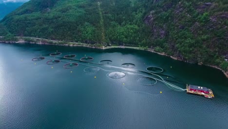 aerial footage farm salmon fishing in norway