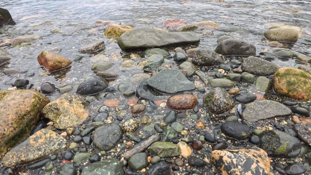 Haines Alaska, paesaggio dettagliato con pietre di fiume e riva d'acqua