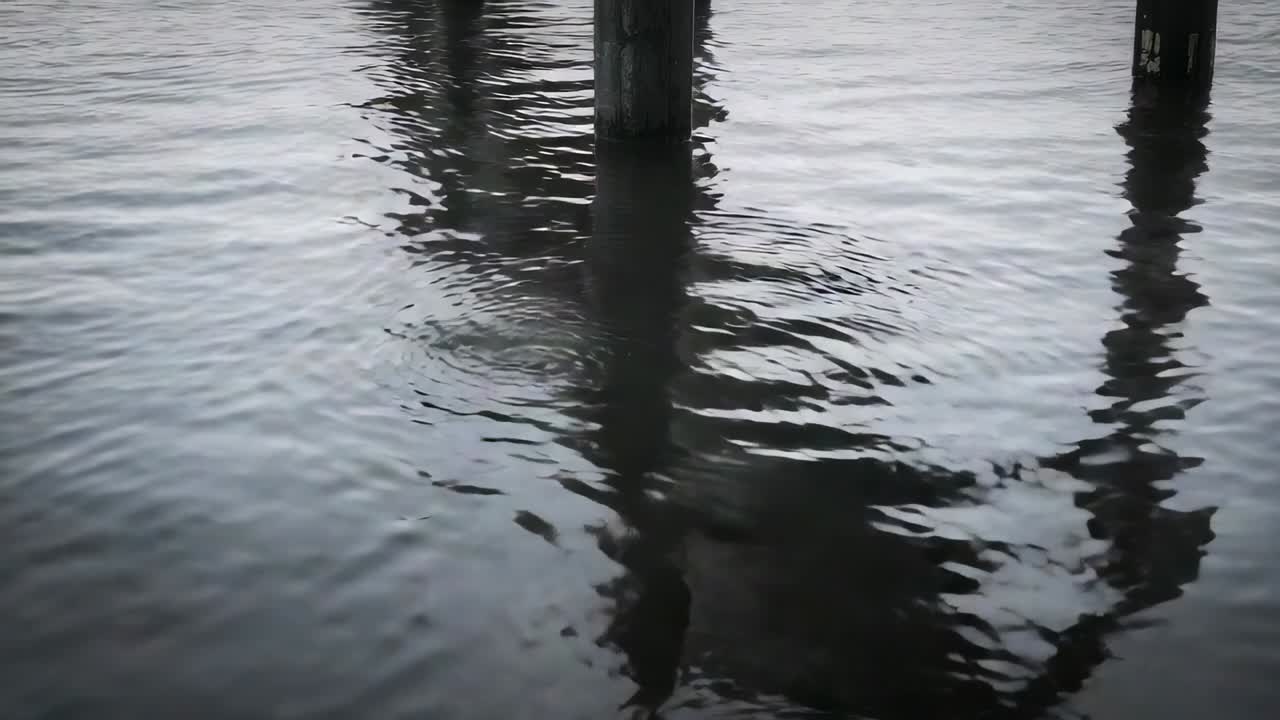 Small disturbance starting at piling base under pier, ripples spreading, warping piling reflections