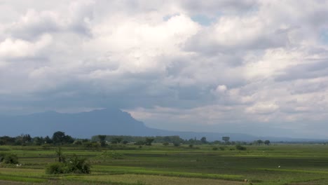 Grüne-Ländliche-Wildnislandschaft-Im-Osten-Ugandas-Mit-Reisfeldern-Und-Einem-Großen-Berg-Am-Horizont