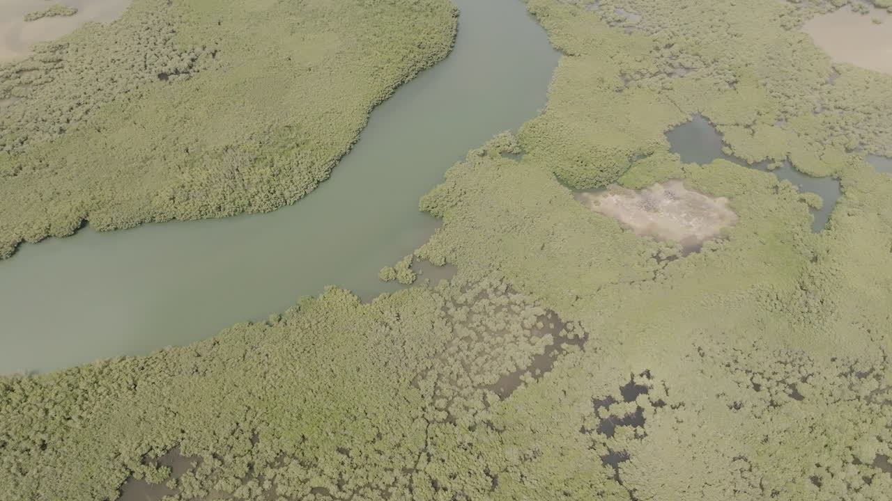 Slow aerial flyover of the River Gambie flowing through the water forests in The Gambia panning up showing the town of Banjul