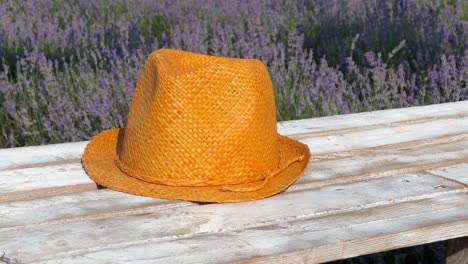 Close-up-of-orange-hat-on-pallet-swing-against-lavender-background