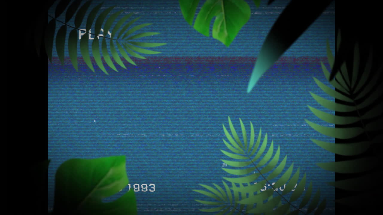 Tropical leaves animation over blue static screen with text 1993