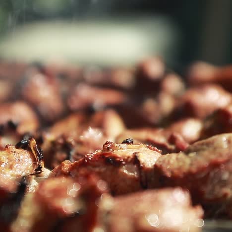 grilling shashlik on barbecue grill