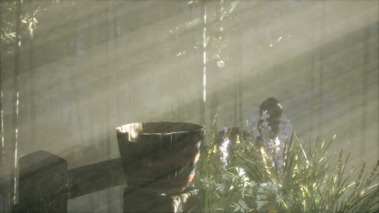 일본 대나무 숲 과 녹색 초원 잔디 와 자연 빛