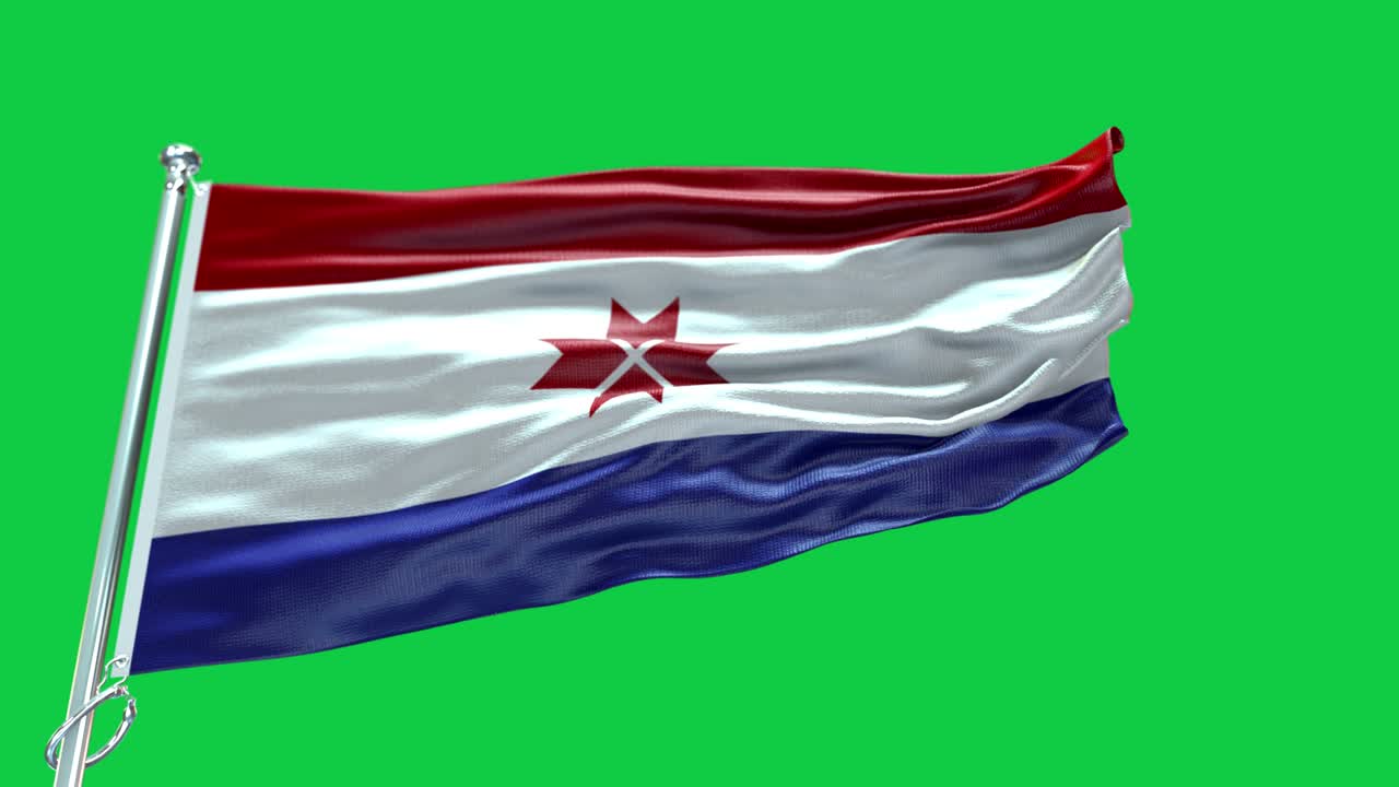 4k 매우 상세한 모르도비아의 발 - 모르도비아 발 높은 세부 사항 - 국가 발 모르도비아 파동 패턴 루프 가능한 요소