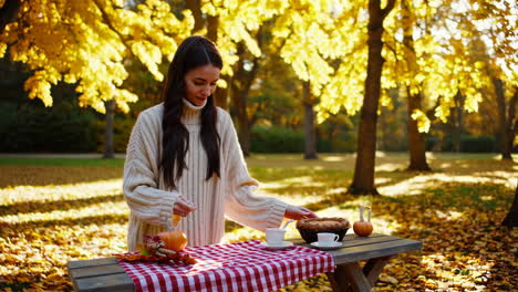 cozy autumn picnic with hot drinks and pumpkin pie