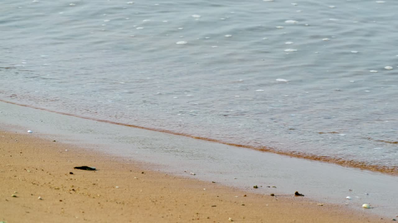 Discover the soothing beauty of waves softly crashing a beach inviting relaxation and peace.