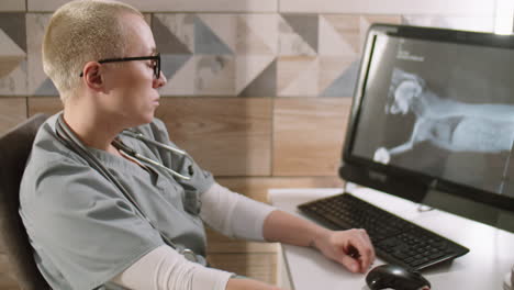 female vet examining x-ray of dog in clinic