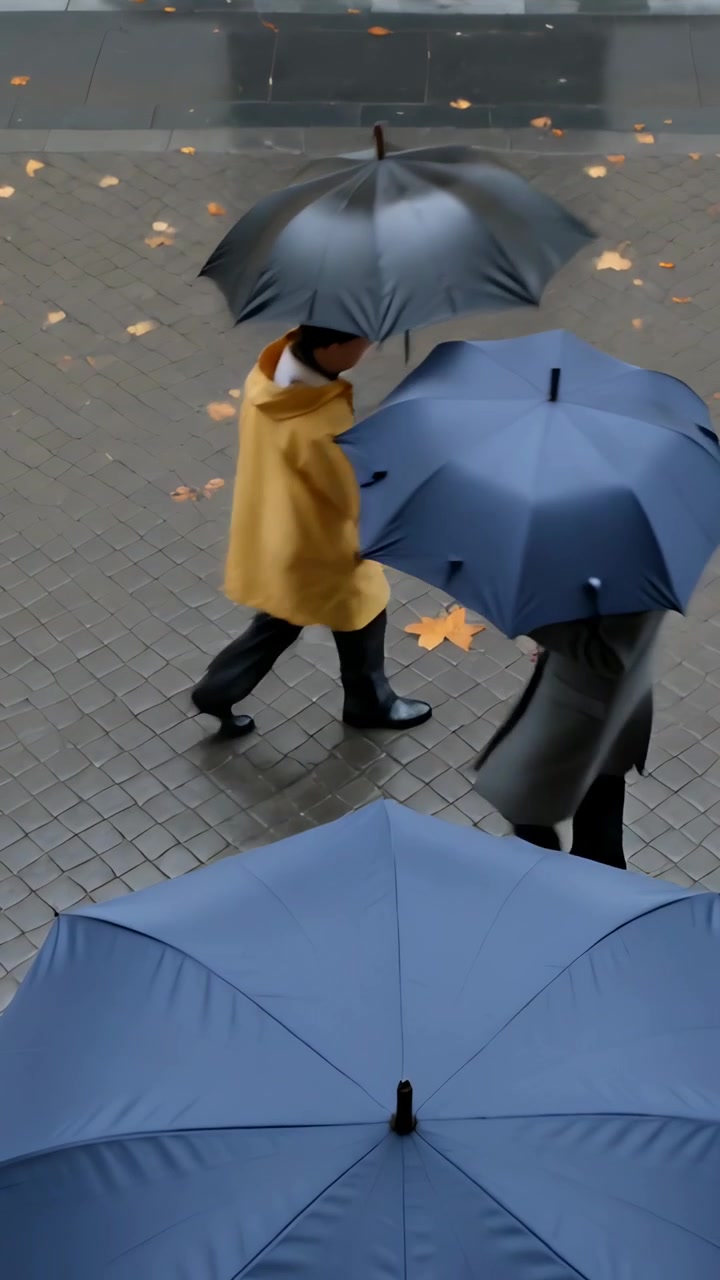 Video verticale: Entrando da sinistra, cappotti giallo-grigi che passano con ombrelli neri e blu scuro, e un ombrello blu.