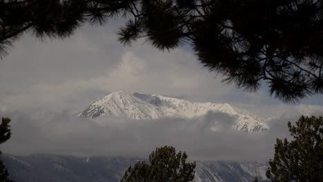 snow covered mountain viewed through trees at twin lakes, colorado, with wind-blown leaves in the foreground