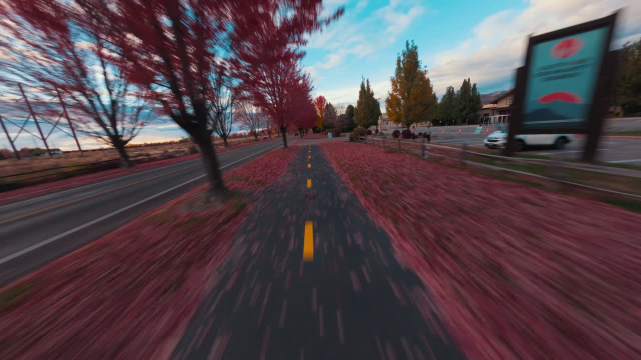 가을 잎 위에서 낮은 fpv 드론 비행