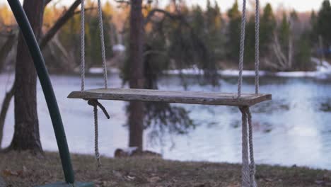 swing in backyard next to river
