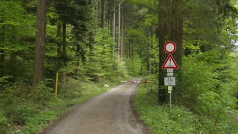 attention symbol shines bright for cyclists seeking perfect route through forest