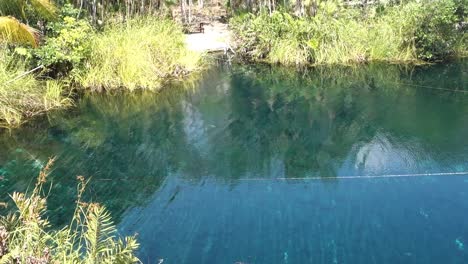 beautiful natural pool with crystal clear waters in cenote cristal in tulum, mexico