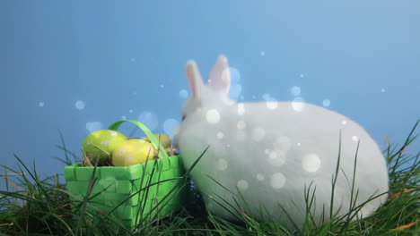 conejo de pascua y huevos