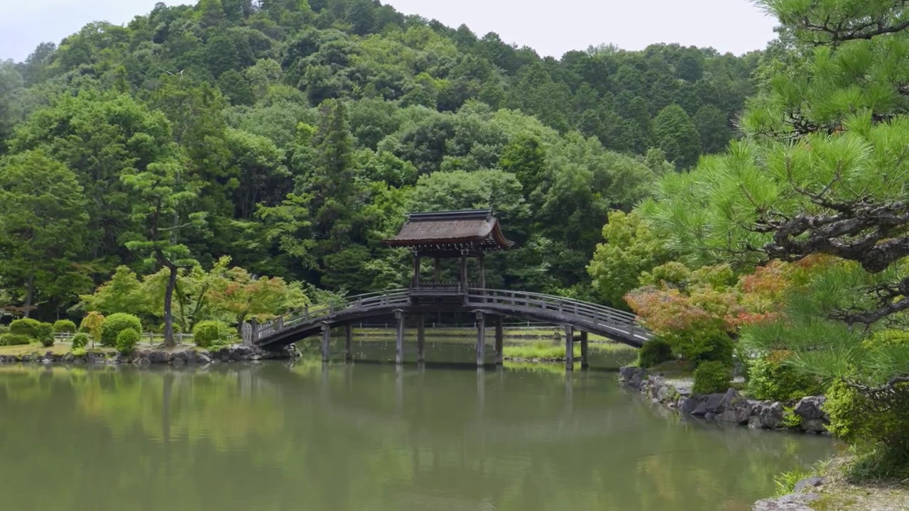 Krásný dřevěný most přes rybník u japonského chrámu