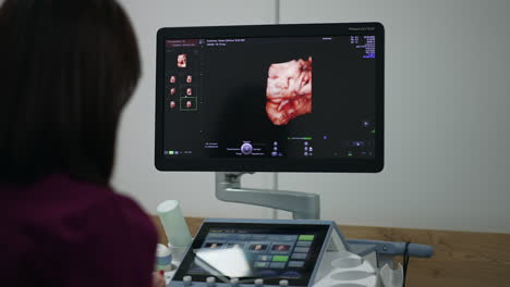 evaluación por ultrasonido 3d del feto