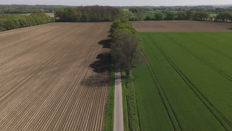 Aerial drone view of a small rural road dividing plowed farmland and lush green fields in Germany. Captured in spring under clear skies, showcasing symmetry and agricultural patterns.