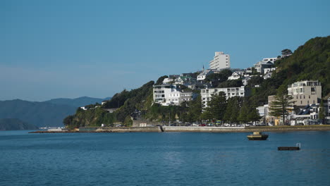 toma de panorámica en cámara lenta de apartamentos frente al mar en wellington en nueva zelanda