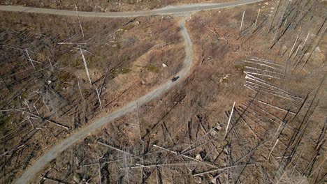 Motor-Cyclist-driving-on-a-curvy-road-through-a-large-Wildfire-area-in-Sweden