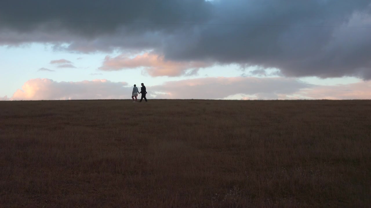 Par der går langs en horisont på en mark i skumringen, SLOW MOTION