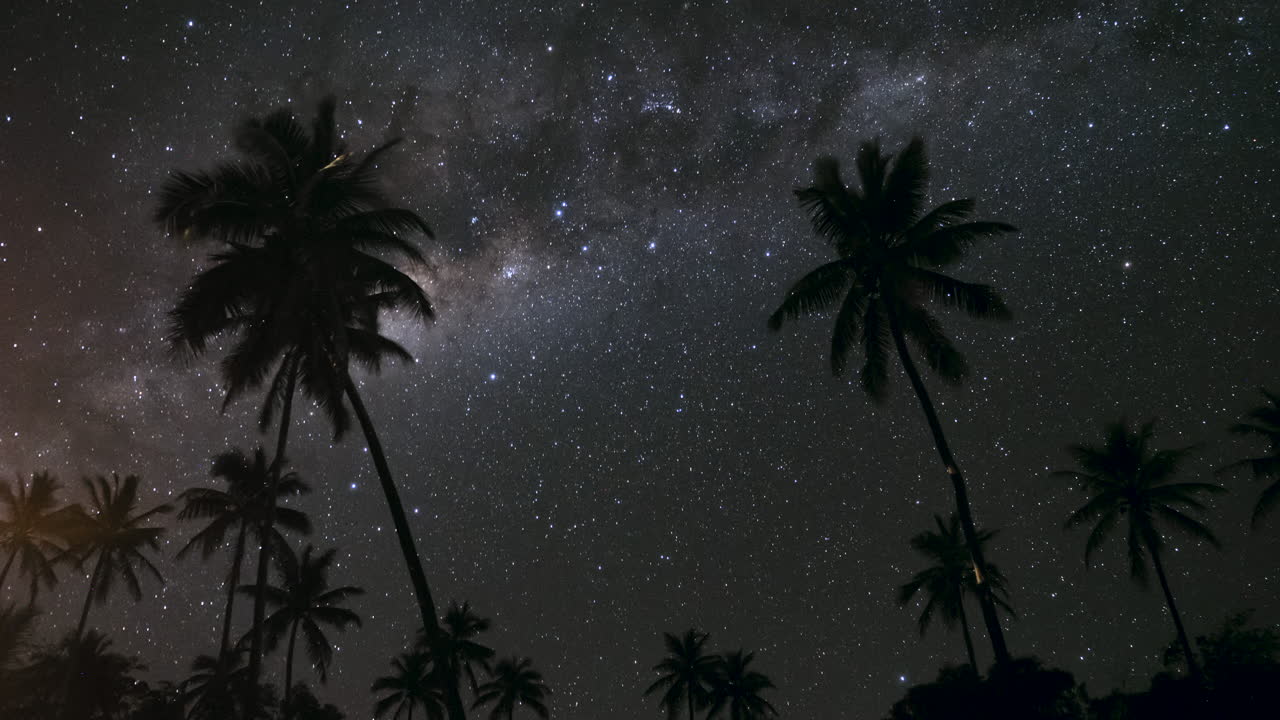 lapso de tiempo astro de estrellas y vía láctea girando detrás de palmeras soplando en el viento