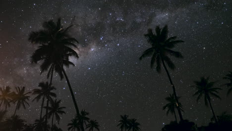 Astro-time-lapse-of-stars-and-Milky-Way-rotating-behind-palm-trees-blowing-in-wind