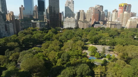 vista aérea volando sobre el central park, un día soleado y de otoño en manhattan, nueva york