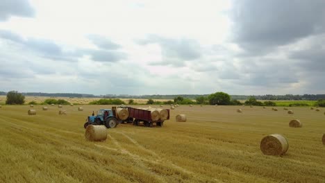tractor loading bales of hay. universal tractor loader loads the trailed straw bales