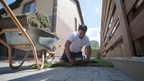 man laying sod grass in backyard garden for lawn installation and landscaping project, focused on home improvement and outdoor maintenance for a fresh, green lawn in a residential yard