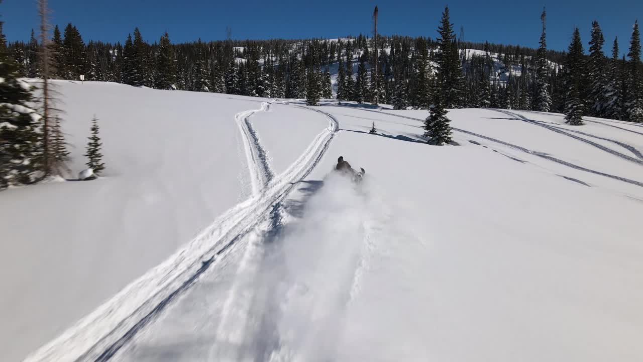 excelente vista aérea de un hombre conduciendo una moto de nieve hacia un pinar montañoso