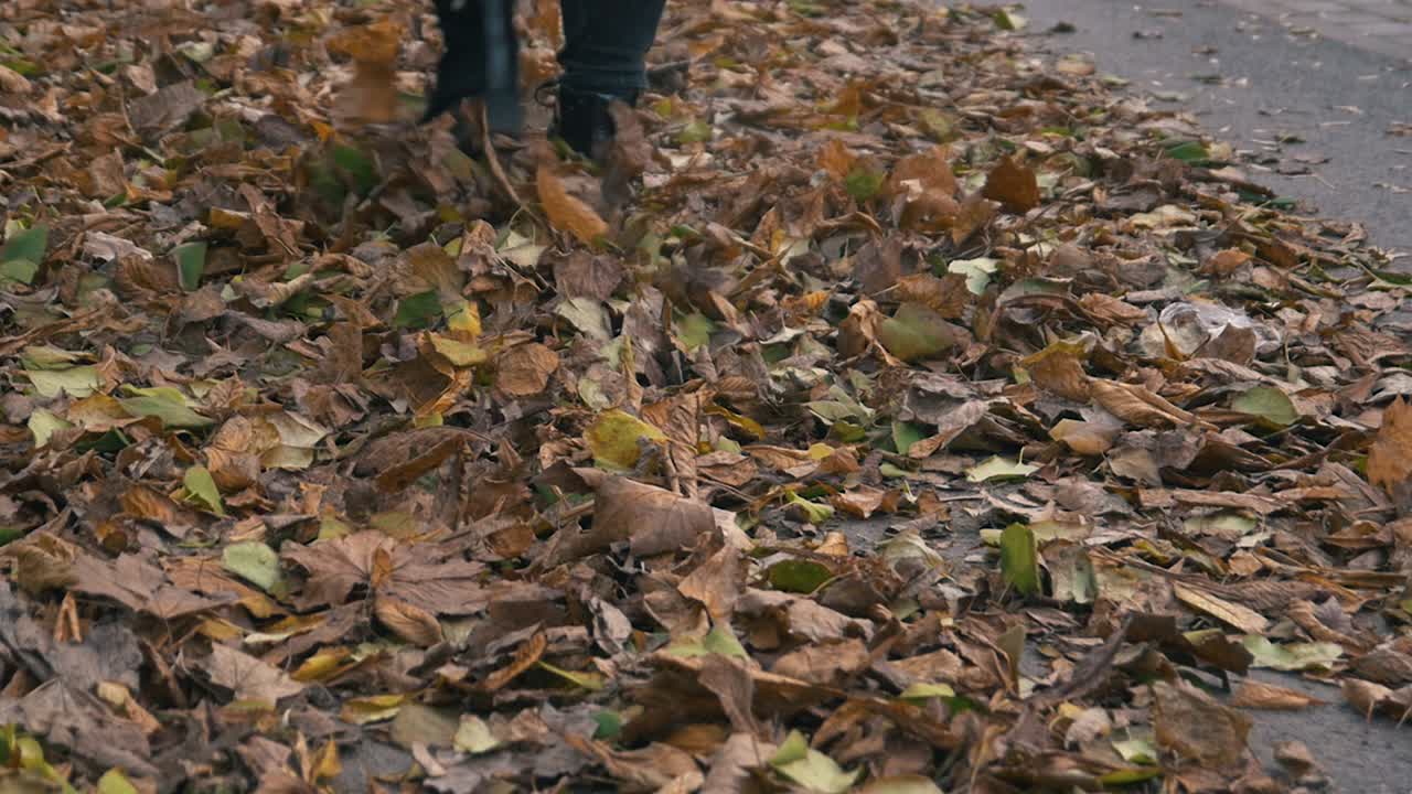 Ragazza che cammina nel parco e calcia foglie autunnali polverose gialle e arancioni al rallentatore, ripresa da dietro.
