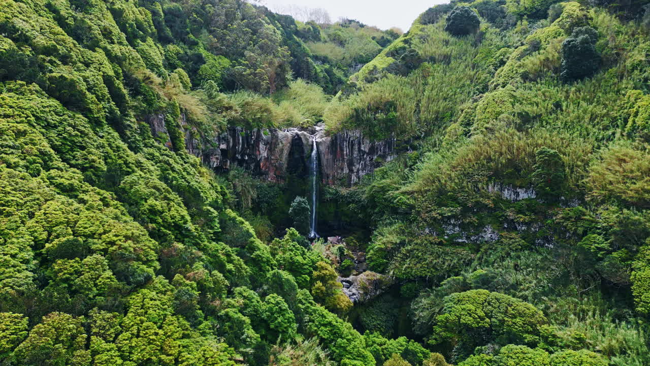 las colinas verdes, las cascadas, la naturaleza, la vista de los drones, el bosque, el verde, el paisaje, el agua que cae.