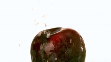 water falling on a plum