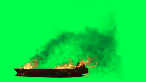 burning wood on green screen