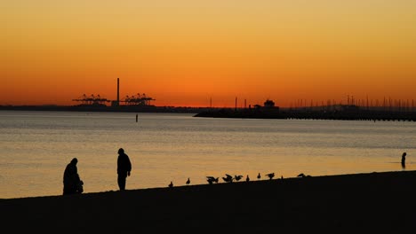 dos personas y pájaros en la playa del atardecer