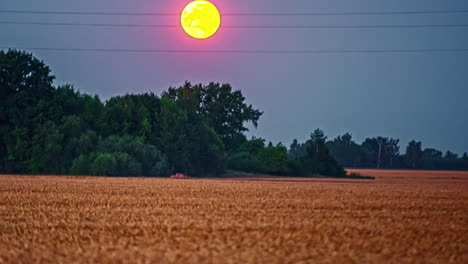 Time-lapse-of-yellow-moon-descending-on-wheat-fields