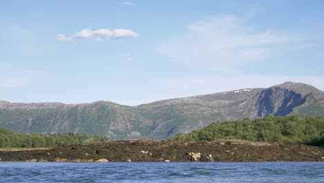 mountain side with ocean waves in foreground northern norway