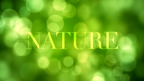 appearing 'nature' text and dissolving after a while with moving green glitter lights, defocused light reflections on loopable green bokeh background. life, spring, forest, wishful concept video