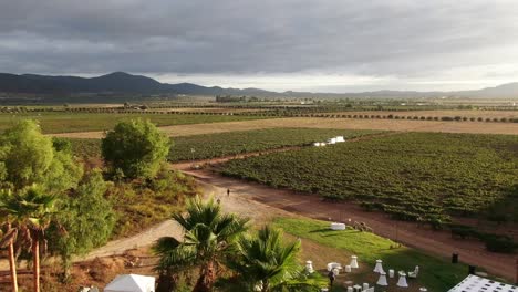 vista aérea de una boda cerca de un viñedo