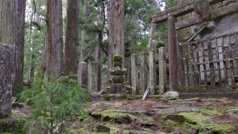 slow motion cinematic slider over beautiful scenery at koyasan in japan