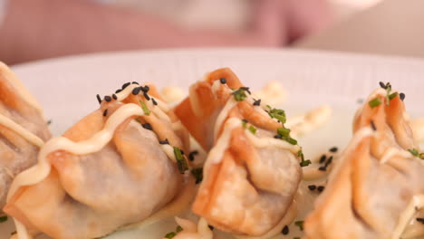 close up shot of homemade spanish style fried jiaozi gyoza drizzled with herbs and white sauce on a white plate