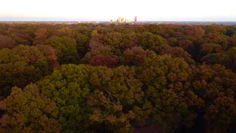 Antena-Inversa-Del-Centro-De-Winston-Salem-Con-Hojas-De-Otoño