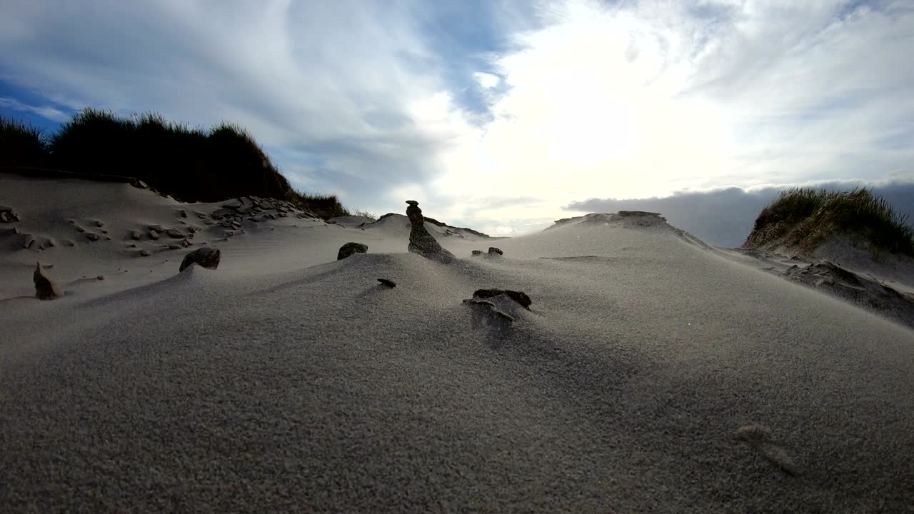 Sand dunes with dune grass in the storm of the North Sea, hiking dunes, dike protection, Sondervig, Jutland, Denmark, 4k