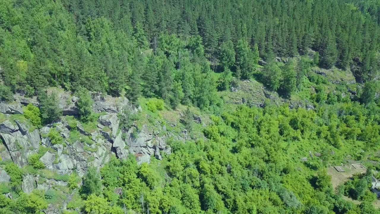 avión volando sobre rocas y bosque de pinos
