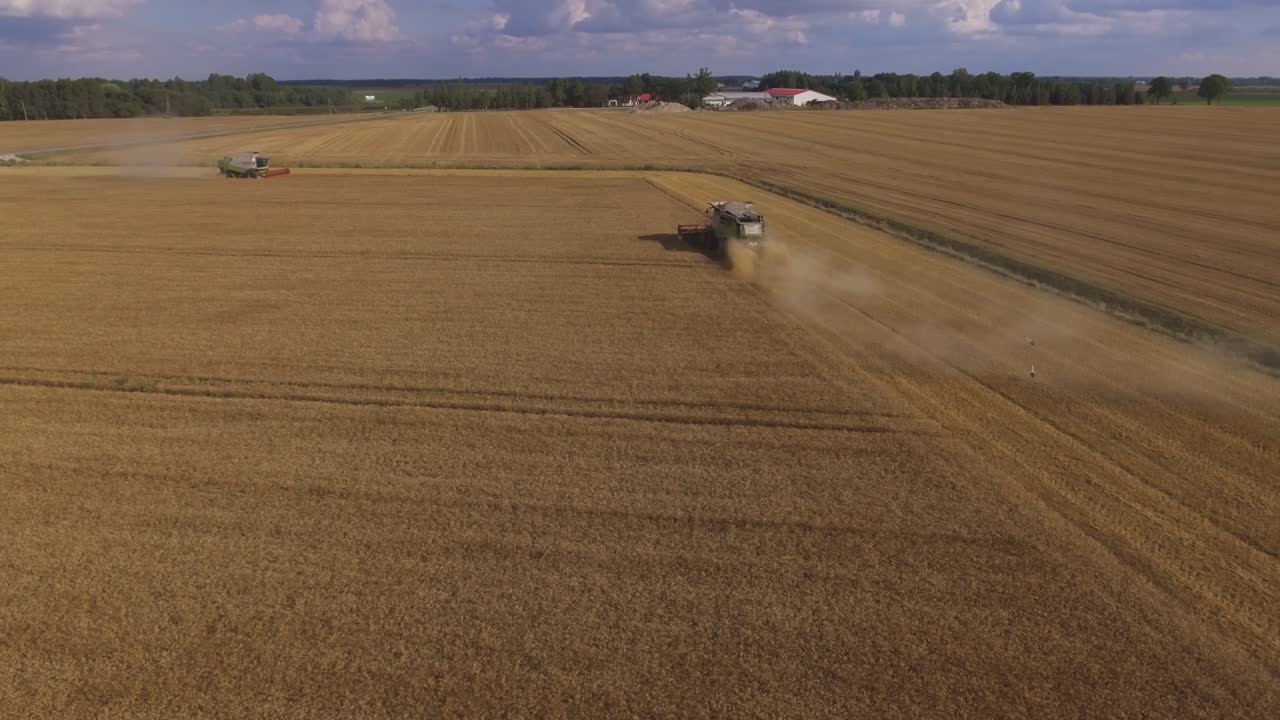 cosechadoras combinadas y otra maquinaria agrícola pesada trabaja en campos agrícolas-1