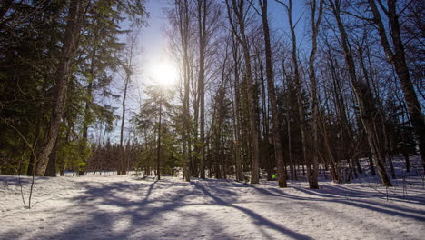 Die-Sonne-Bewegt-Sich-Hinter-Den-Bäumen-Und-Lässt-Die-Schatten-über-Die-Winterlandschaft-Wandern